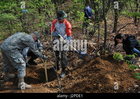 US-Armeesoldaten mit dem 1. Bataillon, 16. Infanterie-Regiment, 1st Infantry Division, Iron Ranger und Republik der Korea Armeesoldaten, Suche nach bleibt der Soldaten, die in Aktion während des koreanischen Krieges als Teil der Task Force Smith KIA bleibt Recovery-Vorgänge bei Osan, Südkorea, April 21 getötet wurden. Während der Mischbetrieb arbeiteten ROK und US-Soldaten zusammen, um die Überreste der Helden, die ihr Leben opferten erholen. (Foto: US-Armee Sgt. Sinthia Rosario, achte Armee Public Affairs) Stockfoto