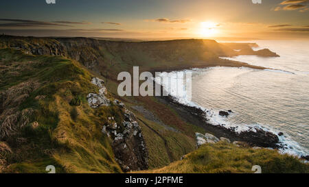 Giant es Causeway Stockfoto