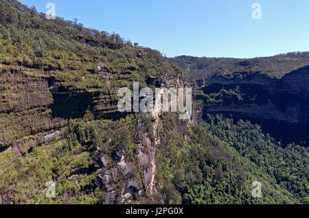 Grose Valley von Blue Mountains Nationalpark in der Nähe Govetts Leap new South Wales wales Australien Stockfoto