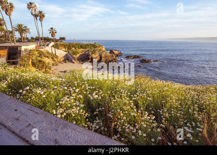 Am frühen Morgen über die La Jolla Cove. La Jolla, Kalifornien, USA. Stockfoto