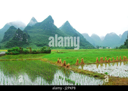 Schöne Countrysidel Landschaft im Sommer Stockfoto