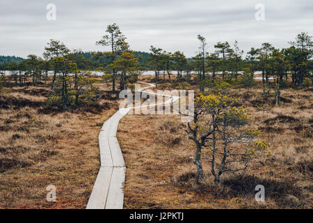 Wanderweg führt durch Moor zum Kakerdaja See, Jarva Grafschaft, Estland Stockfoto