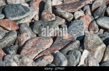 Strand von Multi-farbigen Steinen abstrakten Hintergrund selektiven Fokus an einem sonnigen Tag Stockfoto