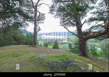 Aussichtspunkt in Woodland Trust Balmacaan Wald mit Blick auf Drumnadrochit Inverness Schottland Stockfoto