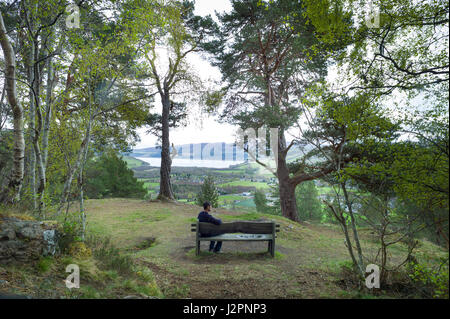 Aussichtspunkt in Woodland Trust Balmacaan Wald mit Blick auf Drumnadrochit Inverness Schottland Stockfoto