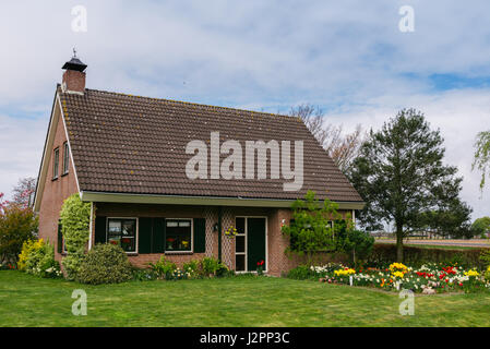Traditionelle holländische Hütte mit einem Blumenbeet Tulpen Stockfoto