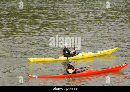 Kajaks auf der Themse in Barnes, SW-London, England, UK Stockfoto