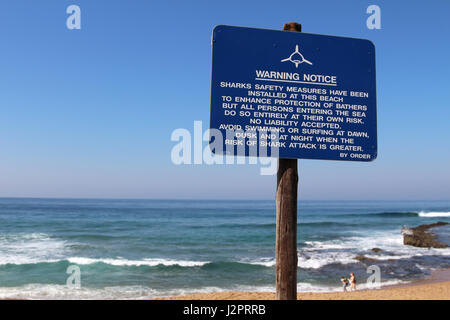 Ein blaues Schild warnt vor der möglichen Gefahr von Haien an einem Strand. Stockfoto