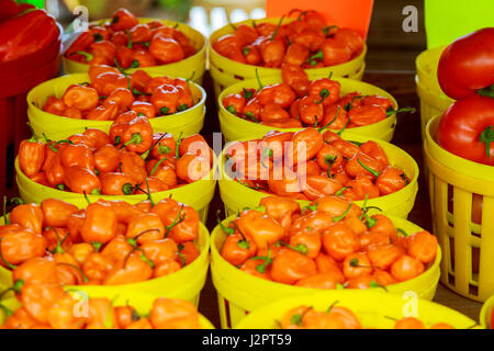 Essen Bauernmarkt verkaufen Natur Paprika Gemüse Stockfoto