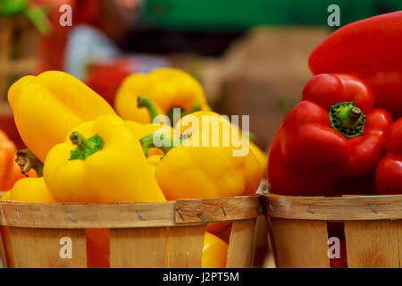 Auswahl an Boxen mit bunten Paprika auf dem Markt. Stockfoto