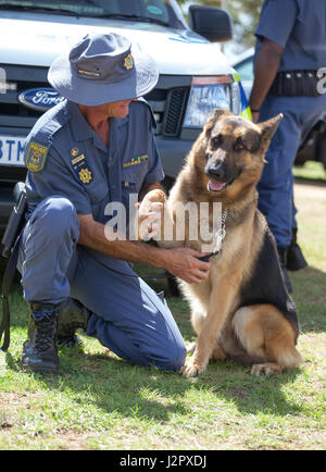 JOHANNESBURG, Südafrika - APRIL 2017 südafrikanische Polizei Polizist und K9-Deutscher Schäferhund Stockfoto