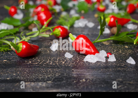 schöne Räume Einstellung von Paprika, Meer Salz, verschiedenen grün auf Risse schwarzer Hintergrund, Nahaufnahme Stockfoto