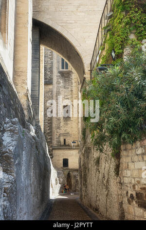 Avignon, Frankreich, 9. September 2016: Akkordeon-Spieler in den engen Gassen rund um den Papstpalast in Avignon, Frankreich Stockfoto