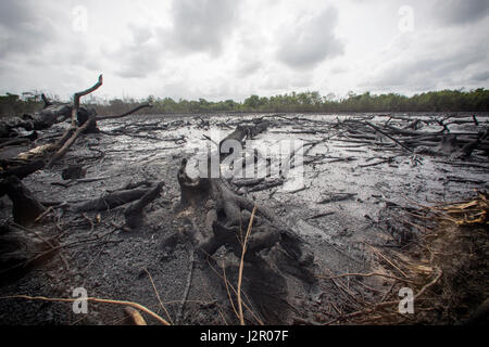 Große Landstriche lagen unfruchtbar durch Ölverlust aus illegalen Raffinerien im Delta State, Nigeria Stockfoto