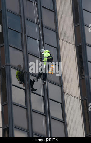 Ein Mann skaliert ein high-Rise Bürohaus in Cardiff, Wales. Sprühen Unkrautvernichtungsmittel Stockfoto