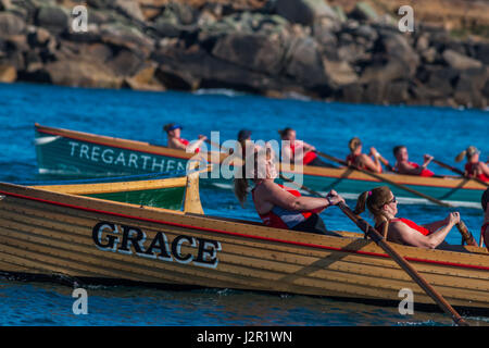 Die jährlichen Scilly-inseln Welt pilot gig Meisterschaften, April, 2017 Stockfoto