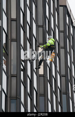 Ein Mann skaliert ein high-Rise Bürohaus in Cardiff, Wales. Sprühen Unkrautvernichtungsmittel Stockfoto