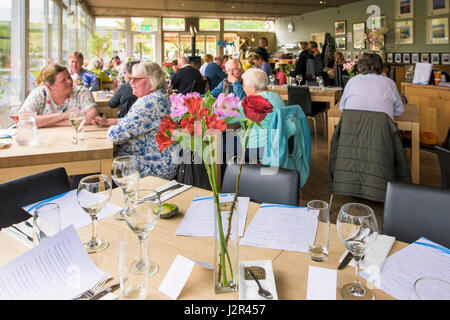 Restaurant Interior Kunden Essen beschäftigt Essen Mittags Feier feiern genießen Genuss Atmosphäre entspannen Stockfoto