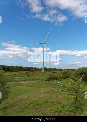 Windkraftanlage zur Stromerzeugung Cathkin Braes Country Park, Glasgow sse sse Stockfoto