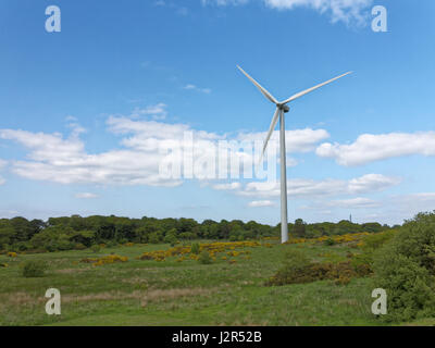 WINDKRAFTANLAGE ZUR STROMERZEUGUNG Cathkin Braes Country Park, Glasgow sse sse Stockfoto