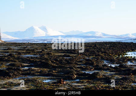 lange Küste mit grünen Algen mit verschneiten Hintergrund bedeckt Stockfoto