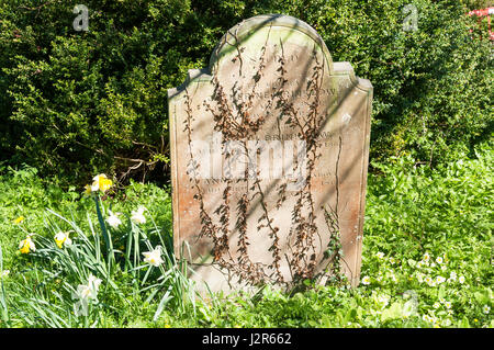 Alten Grabstein im Friedhof, St John The Baptist Church, Aldbury, Hertfordshire, England, Vereinigtes Königreich Stockfoto