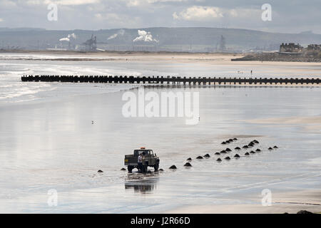 Mann sammeln Meer Kohle, Seaton Carew, Hartlepool, England, Großbritannien Stockfoto