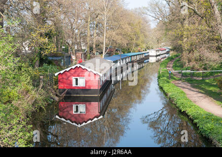 Hausboote auf Basingstoke Canal, West Byfleet, Surrey, England, Vereinigtes Königreich Stockfoto