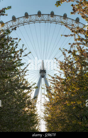 Das London Eye über der Themse aus gesehen Stockfoto