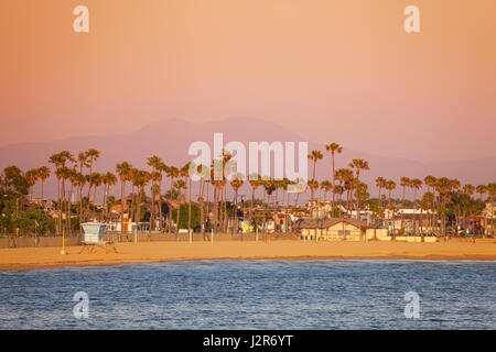 Schöne Aussicht auf Long Beach Küste, umrahmt von Palmen in der Abenddämmerung Stockfoto