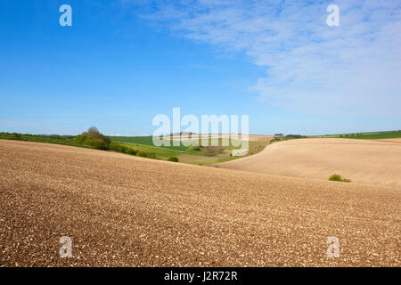 Muster und Texturen der hügeligen kalkhaltigen Ackerland in der Yorkshire Wolds im Frühling unter blauem Himmel Stockfoto