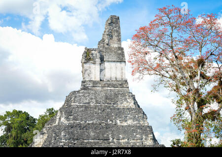 Ich Tempel der Maya archäologische Stätte im Nationalpark Tikal, Guatemala Mittelamerika Stockfoto