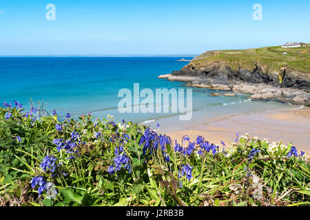 Poldhu Bucht in Cornwall, England, Britainb, UK. Stockfoto