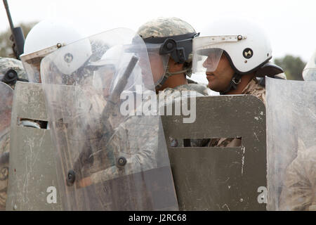 US-Soldaten aus Cary en 805th Military Police Company beteiligen Gruppenkontrolle training mit Alpha 3. Marine Flotte Bekämpfung des Terrorismus Security Team (schnell) und königliche marokkanische Streitkräfte während der Übung afrikanischen Löwen 17 23. April um Tifnit, Marokko. Übung African Lion ist eine jährlich geplanten, kombinierte multilateralen Übung zur Verbesserung der Interoperabilität und das gegenseitige Verständnis jeder Nation Taktiken, Techniken und Verfahren. (US Army Reserve Foto Spc Tynisha L. Daniel) (Freigegeben) Stockfoto