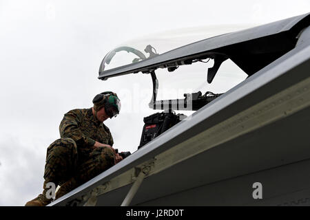 US Marine Corps Sgt. Dominic Schulte, Marine Fighter Attack Squadron 232 Flug Ausrüstung Techniker von Miramar, Kalifornien, arbeitet an einer FA - 18C Hornet von seinem Geschwader an der Flightline auf gemeinsamer Basis Elmendorf-Richardson, Alaska, für Übung Nordrand, 24. April 2017. Verschiedene militärische Flugzeuge von allen Dienstleistungen üben Operationen, Techniken und Verfahren beim Ausbau der Interoperabilität im nördlichen Rand 2017 – Alaskas erste Joint-Übung. (Foto: U.S. Air Force Airman 1st Class Javier Alvarez) Stockfoto