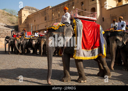 Elefanten und ihre Mahouts warten auf Touristen holen und tragen sie bis zu Amber Fort in Jaipur in Rajasthan, Indien. Stockfoto