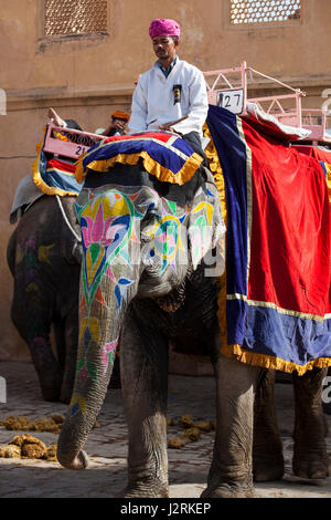 Elefanten und ihre Mahouts warten auf Touristen holen und tragen sie bis zu Amber Fort in Jaipur in Rajasthan, Indien. Stockfoto