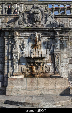 Pelikan Brunnen (Chafariz Do Pelicano) vor Se Kathedrale in Porto Stadt auf der iberischen Halbinsel, zweite größte Stadt in Portugal Stockfoto