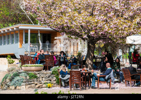 Die Besucher des Botanischen Garten entspannen Sie sich im örtlichen Café und Erfrischungen Stockfoto