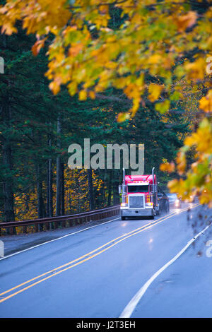 Klassische rote Sattelschlepper auf einen schönen Herbst nass vom Regen geradeaus mit der Reflexion der Scheinwerfer auf der Autobahn-Straße mit gelben Blättern Stockfoto