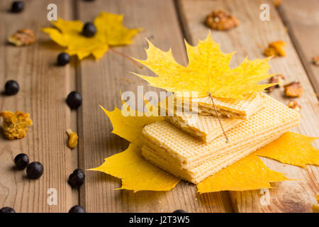 Herbst Schokoriegel. Rustikale Herbst Schokoladenkekse. Stockfoto