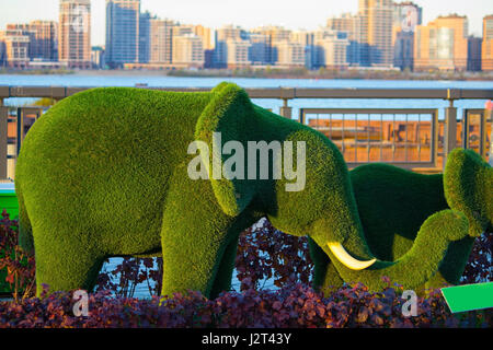 grüne Elefanten durch Clipping Bäume gemacht. Kazan, Russland Stockfoto