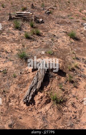 Alte hölzerne Kreuz Verlegung auf Boden, Gold Mining Stadtfriedhof Norseman Western Australia Stockfoto