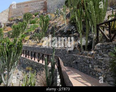 Loro Sexi Vogelpark, Jardin de Cactus und Castillo San Miguel, Almunecar, Grenada Provinz, Andalusien, Costa Tropical, Spanien, Europa Stockfoto