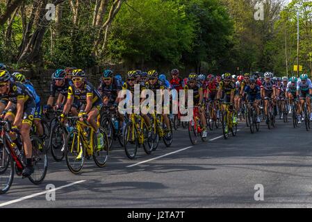 Holmfirth, England. 30. April ankommen 2017.The jagen Radfahrer in der Tour-De-Yorkshire in Holmfirth. Carl Dickinson/Alamy Live-Nachrichten Stockfoto