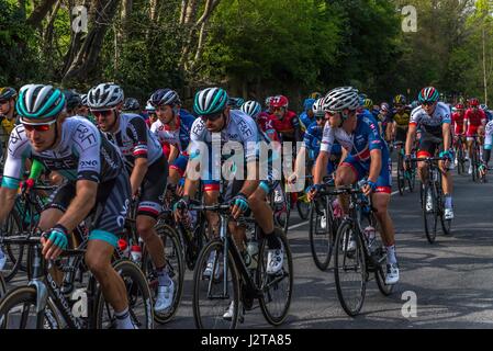 Holmfirth, England. 30. April ankommen 2017.The jagen Radfahrer in der Tour-De-Yorkshire in Holmfirth. Carl Dickinson/Alamy Live-Nachrichten Stockfoto