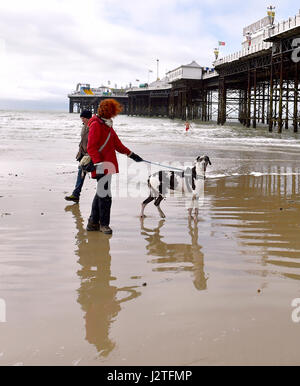 Brighton, UK. 1. Mai 2017. DHD Wanderer genießen die Ebbe am Strand von Brighton früh am Maifeiertag Feiertag. Die Prognose ist für eine Mischung aus Sonnenschein und Duschen im Süden von der UK-Credit: Simon Dack/Alamy Live News Stockfoto