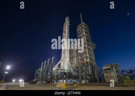 Die SpaceX Falcon 9 Rakete tragen einen geheimen militärischen Satelliten sitzt auf Launch Complex 39A bereit für Blast off am Kennedy Space Center Ende 29. April 2017 in Cape Canaveral, Florida. SpaceX-Mission wurde in letzter Minute wegen eines fehlerhaften Sensors geschrubbt und bemühen uns wieder am 1. Mai. Stockfoto