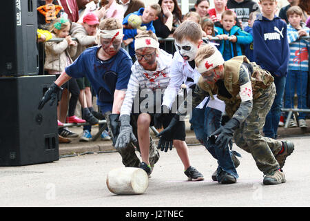 Stilton, Cambridgeshire, Großbritannien. 1. Mai 2017. Die Kinder Dead Nation Team in Aktion. Kann Feiertag Käse-Rollen in Stilton, Cambridgeshire. Die Käse-Rollen-Wettbewerb ist ein Maifeiertag Feiertag Montag Tradition und Konkurrenten roll Holzblöcke entlang der Hauptstraße anstelle der Stilton Käse seinen Namen vom Dorf stattfand. Käse ins Rollen. Stilton, Cambridgeshire, Großbritannien. 01.05.2017 Kredit: Paul Marriott/Alamy Live-Nachrichten Stockfoto