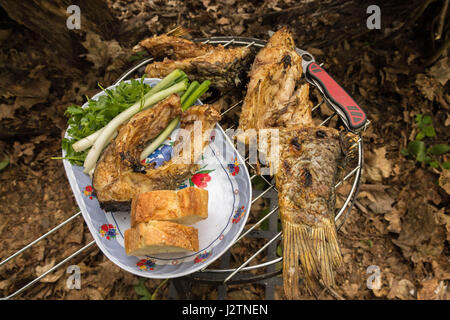 Servieren von Speisen auf dem Tisch. Verdauung der Nahrung auf den Tisch. Stockfoto
